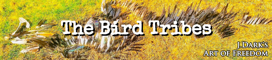The Bird Tribes